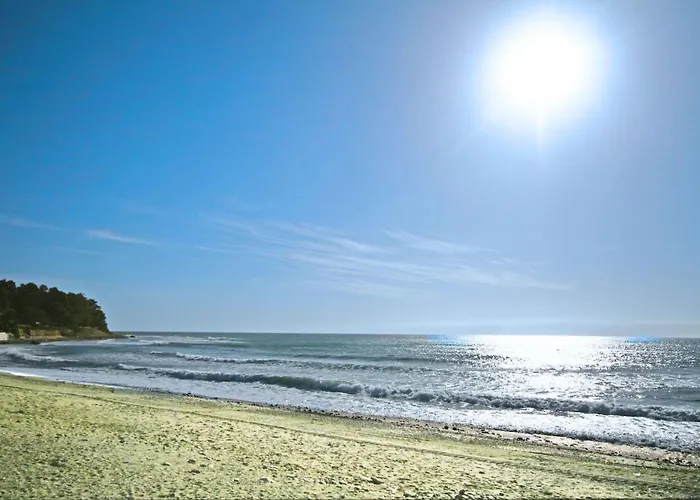 One Bedroom In Apartamento *